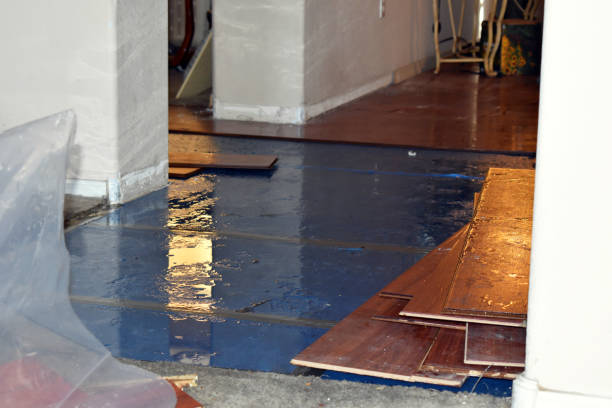 Professional Water Damage Restoration technician working in Tripoli, WI